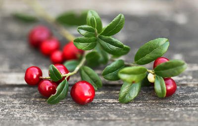Foods to prevent tooth decay are good for teeth